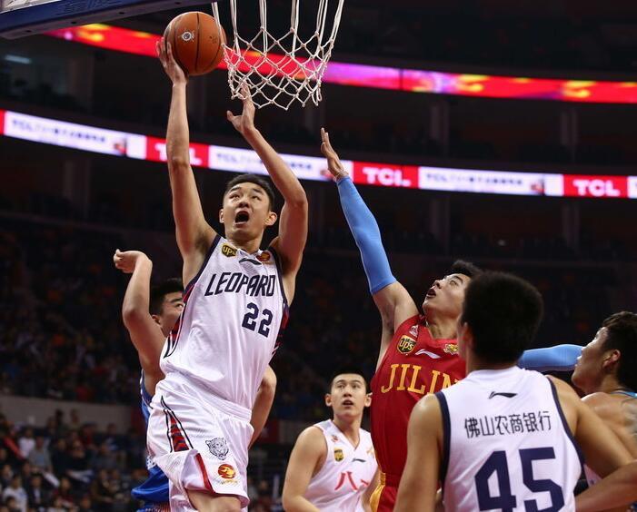 天津津门虎 天津津门虎